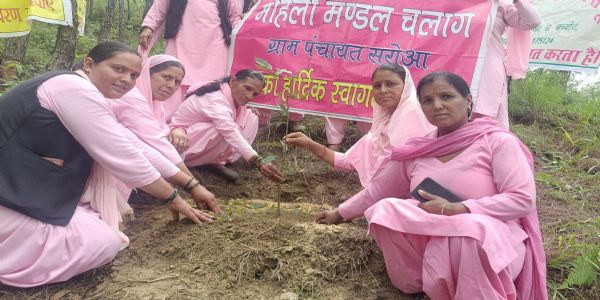 महिला मंडल ने बनाया अपना भवन, साथ लगते जंगल को बदल दिया देवदार के जंगल में