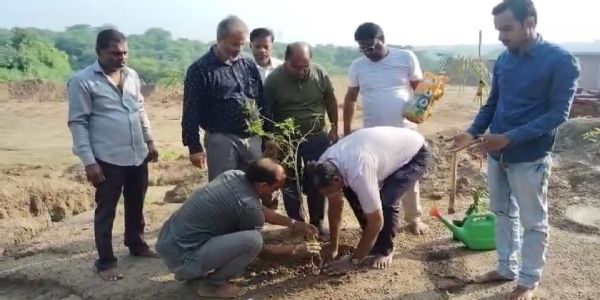 औरैया : महामाया मंगला काली मंदिर परिसर में हुआ वृहद पौधारोपण
