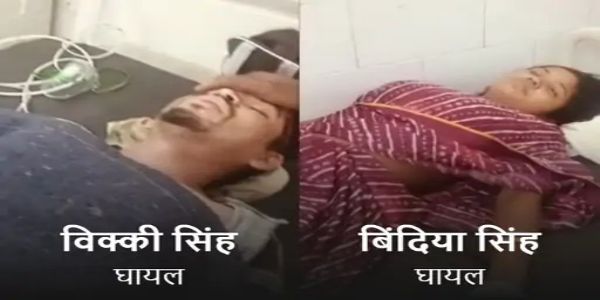अनूपपुर: मधुमक्खियों के हमले से दंपति घायल, हालत खतरे से बाहर