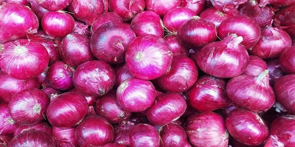 प्याज के लोगो का प्रतीकात्मक चित्र प्याज के लोगो का प्रतीकात्मक चित्र