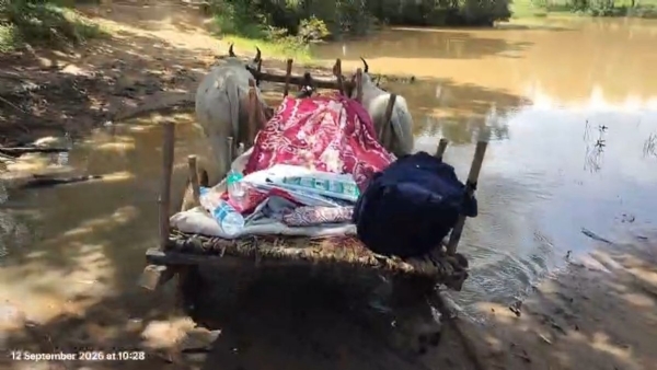 बैलगाडी से शव ले जाते हुए बैलगाडी से शव ले जाते हुए