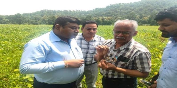 बैतूलः कृषि अधिकारियों ने भीमपुर विकासखंड के ग्रामों में किसानों के खेतों का किया निरीक्षण
