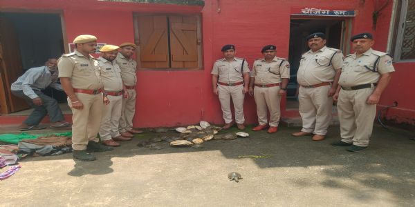 गोमो स्टेशन पर दून एक्सप्रेस से 48 जिंदा कछुए बरामद