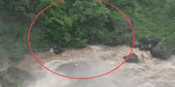मप्र के छिंदवाड़ा में 150 फीट से गिरते झरने में फंसे महाराष्ट्र के चार युवक, एसडीईआरएफ ने किया रेस्क्यू