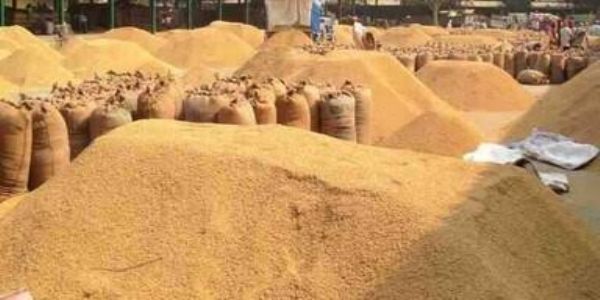 मुरादाबाद जिले में एक अक्टूबर से संचालित किए जाएंगे 58 धान क्रय केंद्र
