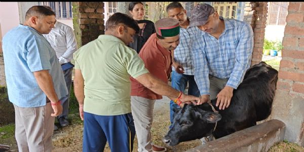 लम्पी वायरस : पशुपालक के घर डॉक्टरों को लेकर पहुंचे केवल सिंह पठानिया