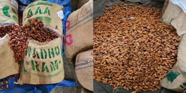 डीआरआई ने पाकिस्तान मूल के 362 मीट्रिक टन से अधिक छुहारे किए जब्त