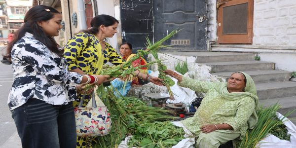 सायर पर्व : किसानों की खुशहाली और समृद्धि से जुड़ा अनाज पूजा का त्योहार