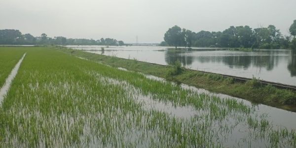 पानी घटने की रफ्तार धीमी, कर्ज के दलदल में डूबे दियारा के किसान