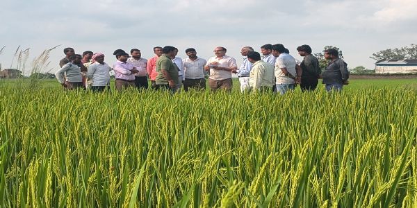 बघौड़ा में किसानों से संवाद, खेतों का किया औचक निरीक्षण