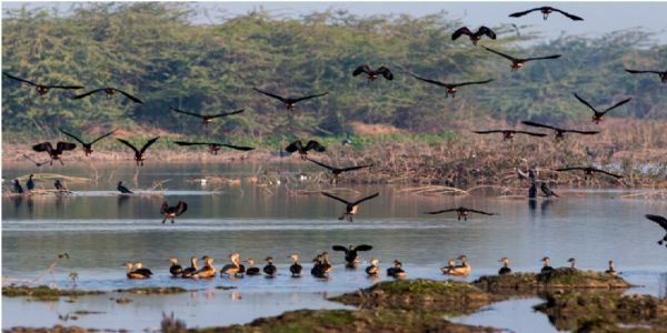 इत्र की खुशबू और विरासत का गौरव कन्नाैज पर्यटन के नक्शे पर चमक रहा