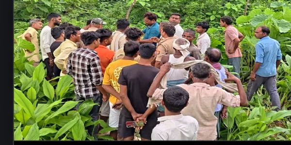 बहराइच में तेंदुए का कहर : झोपड़ी में सो रही बुजुर्ग महिला को चारपाई से खींच ले गया, खेत में मिला क्षत-विक्षत शव