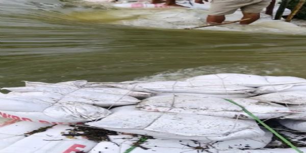 भागलपुर में सैलाब की भारी मार, नुकसान का आंकड़ा एक हजार करोड़ के करीब, कागजी दावों के बीच 9.5 लाख आबादी बेहाल