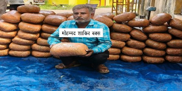 एसटीएफ ने अंतरराज्यीय गांजा तस्कर काे किया गिरफ्तार, करीब पचास लाख का गांजा बरामद