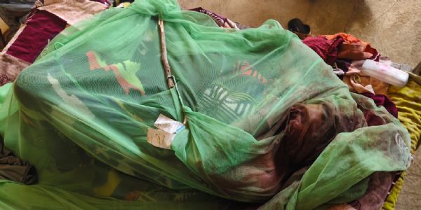 शहडोल: खेत में बने घर में अकेली रह रही महिला की हत्या, खून से लथपथ मिला शव