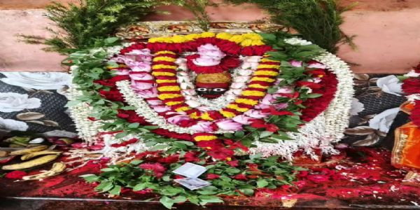 ललही छठ पर विंध्य पर्वत पर उमड़ा आस्था का सैलाब, मां षष्टी के दर्शन को पहुंचे हजारों श्रद्धालु