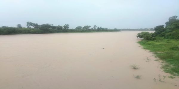 अनूपपुर: लगातार रिमझिम बारिश से जनजीवन अस्त-व्यस्त, फसलों पर संकट गहराया