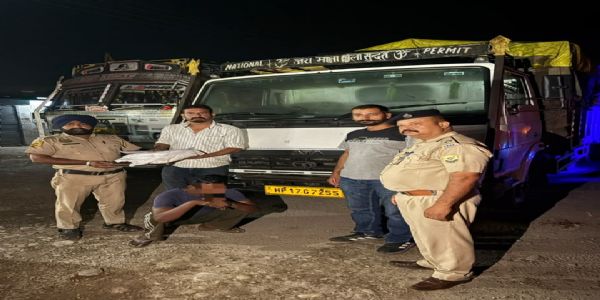 माजरा में 2 किलो 350 ग्राम भुक्की बरामद, ट्रक चालक गिरफ्तार