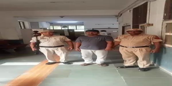 नूंह की अदालत ने नशा तस्कर को सुनाई 12 साल कैद की सजा