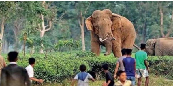 सांकेतिक। सांकेतिक।