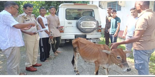 फकीराग्राम पुलिस ने तीन पशु चोरों को किया गिरफ्तार