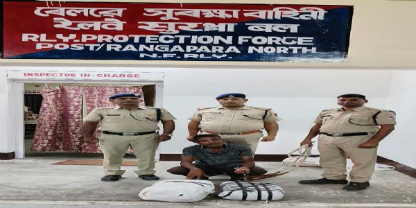 आरपीएफ एवं जीआरपी की संयुक्त कार्रवाई में गांजा बरामद, एक गिरफ्तार