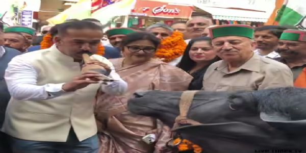 सोलन में कांग्रेस ने केंद्र सरकार को घेरा, भैंस के सामने बजाई बीन