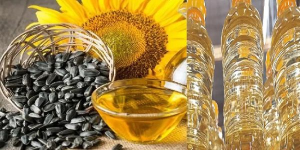 प्रमुख खाद्य तेलों के लोगो का प्रतीकात्मक चित्र प्रमुख खाद्य तेलों के लोगो का प्रतीकात्मक चित्र