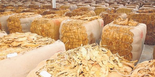 तंबाकू उत्पादक के लोगो का प्रतीकात्मक चित्र तंबाकू उत्पादक के लोगो का प्रतीकात्मक चित्र