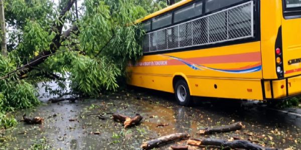रांची में तेज आंधी-बारिश के बीच स्कूल बस पर गिरा पेड़, बाल-बाल बचे बच्चे