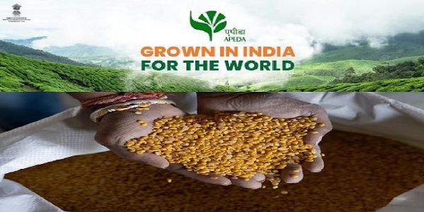 एपीडा ने कर्नाटक से जीआई टैग वाली गुलबर्गा तुअर दाल मालदीव किया निर्यात