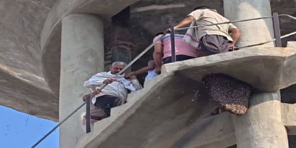 पानी की टंकी पर चढ़े युवक को उतारने पहुंची पुलिस पर मधुमक्खियों का हमला