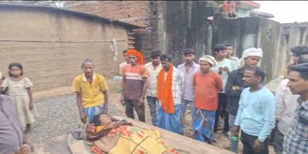 मधुमक्खियों के हमले से महिला की मौत, गांव में मातम