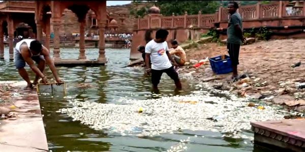 धौलपुर के मचकुंड सरोवर में हजाराें मछलियों की मौत