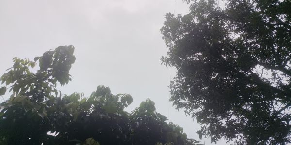 उत्तराखंड के कई जिलों में भारी बारिश का अलर्ट