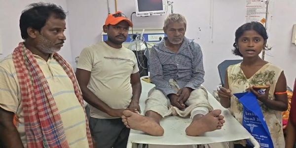 नाथनगर के घोषी टोला में लंगूरों का आतंक, आधा दर्जन से अधिक लोगों को काटकर किया जख्मी