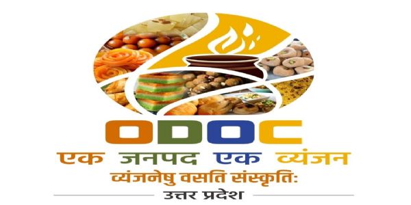 यूपीआईटीएस में अमरोहा के शहद-कुकीज का जलवा, इटली-ओमान और नीदरलैंड के खरीदारों ने दिए बड़े ऑर्डर