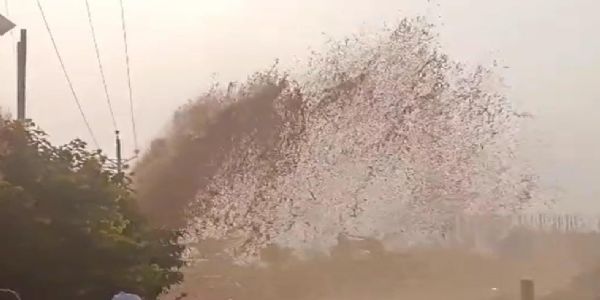 जबलपुर : 24 घंटे में फिर फूटी राइजिंग लाइन, हाईवे पर 20 फीट ऊंचा फव्वारा