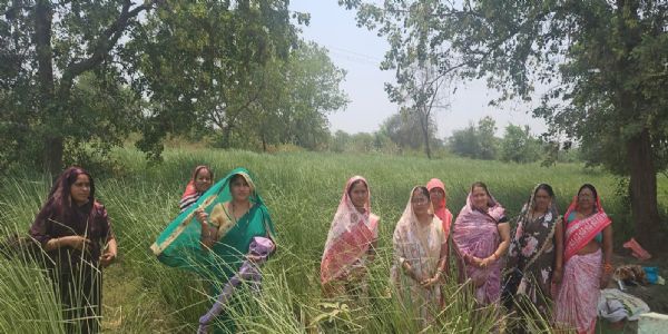 खस की पहली फसल से महिला समूह ने कमाए 1.12 लाख रुपये