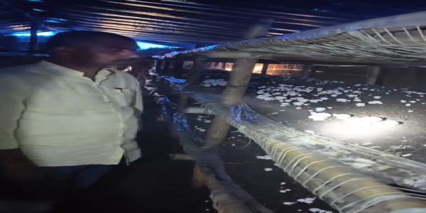यूपी में मशरूम की खेती के प्रति बढ़ता किसानों का रुझान, अयोध्या के उत्सव ने डेढ़ लाख से खड़ा किया करोड़ों का कारोबार