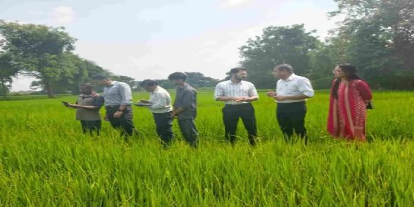 खेत में पहुंचे कलेक्टर मयंक चतुर्वेदी, देखा डिजिटल क्रॉप सर्वे का काम