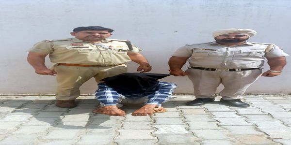फतेहाबाद : कार छोडक़र फरार हुआ गांजा तस्करी का आरोपी गिरफ्तार