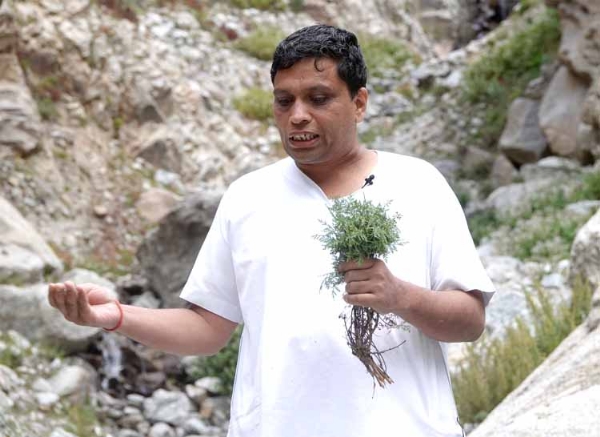 पतंजलि योगपीठ के महामंत्री आचार्य बालकृष्ण वनस्पतियों की खोज करते हुए पतंजलि योगपीठ के महामंत्री आचार्य बालकृष्ण वनस्पतियों की खोज करते हुए