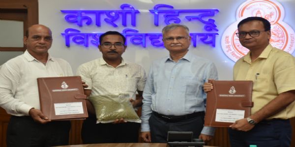 बीएचयू ने विकसित की मूंग की उच्च-प्रोटीन और तापमान सहिष्णु प्रजाति एचयूएम 27, खेतों तक पहुंचाने की दिशा में बढ़ाया कदम