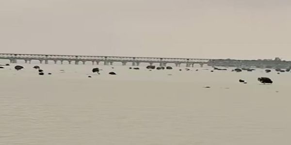प्रयागराज में गंगा-यमुना का जलस्तर बढ़ा, बाढ़ नियंत्रण कक्ष सतर्क