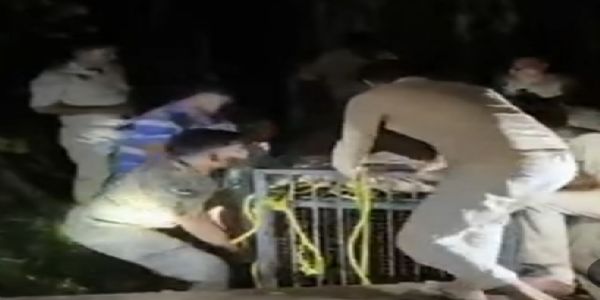 बिजनौर: कुएं में गिरे गुलदार को वन विभाग ने सुरक्षित निकाला