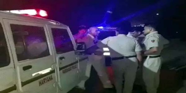 फरीदाबाद : मृत गायों से भरी पिकअप पकड़ी, गौरक्षकों ने किया हंगामा