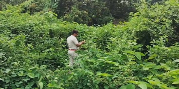 पुलिस की हिरासत से फरार बांग्लादेशी नागरिक 24 घंटे बाद गिरफ्तार