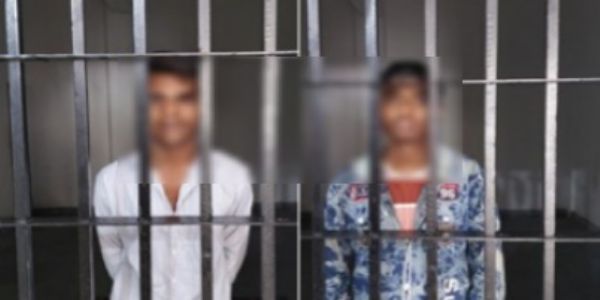 बिहार भेजे जा रहे तीन गोवंश बरामद, दो तस्कर गिरफ्तार