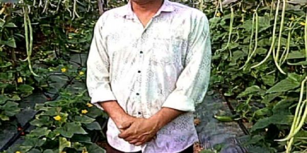 खेती का तरीका बदला तो बढ़ा उत्पादन और मुनाफा, राज कुमार साहू ने बरबटी और खीरा की खेती से कमाया लाखाें का लाभ